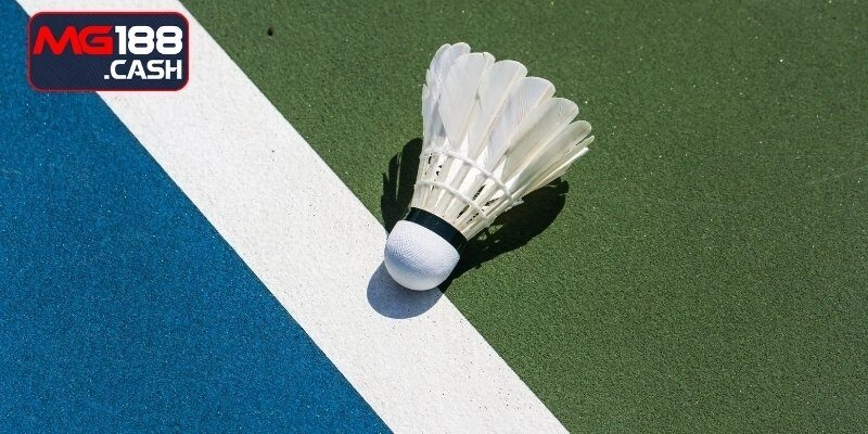 Kinh nghiệm cá cược cầu lông dễ thắng lớn