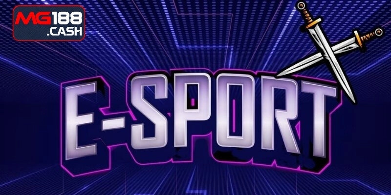 Cập nhật các sự kiện eSports hấp dẫn nhất