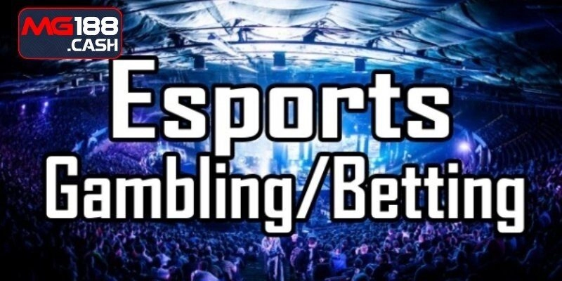 Đôi nét về hình thức cá cược eSports tại MG188
