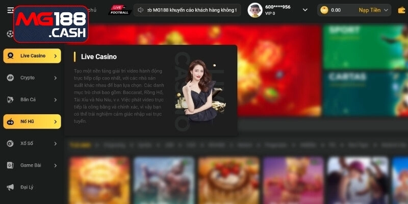 Giới thiệu MG188 - Khái quát vài nét