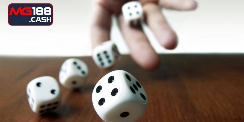 Lắc xí ngầu online và hình thức cược cơ bản